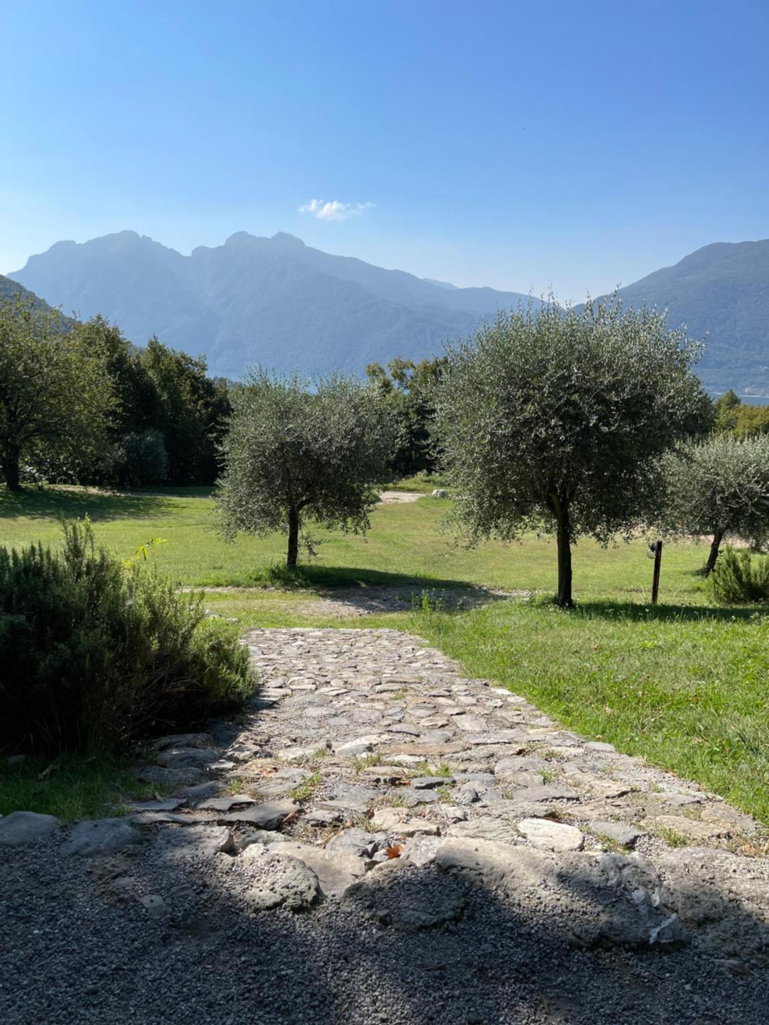 Agriturismo la Selvaggia Mandello del Lario Exterior foto
