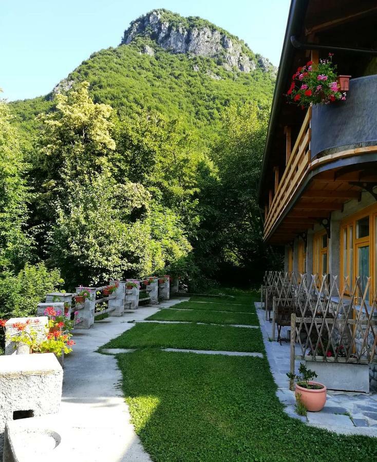 Agriturismo la Selvaggia Mandello del Lario Exterior foto