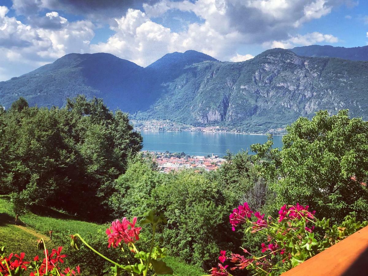 Agriturismo la Selvaggia Mandello del Lario Exterior foto